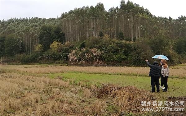 凉山彝族自治州陈老师带着爱徒寻龙点穴